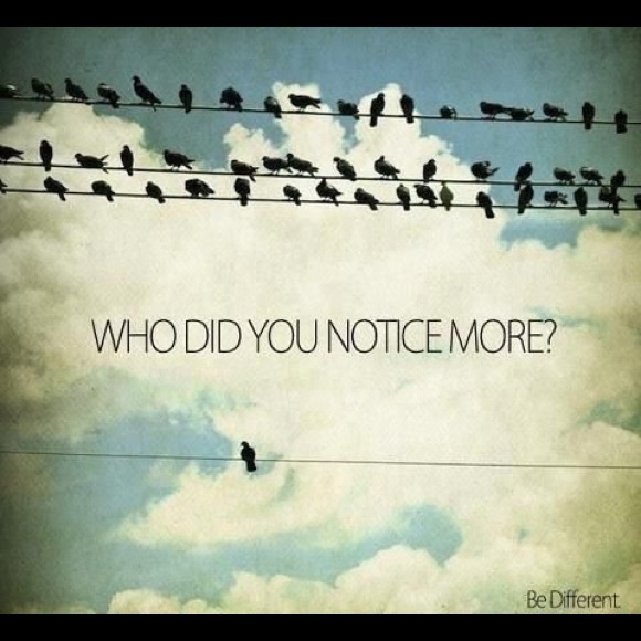 Meet your Posher, Wayne - Picture 7 of 7